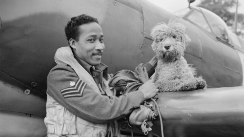 The Trinidadian pilot who flew the 'Silver Spitfire'