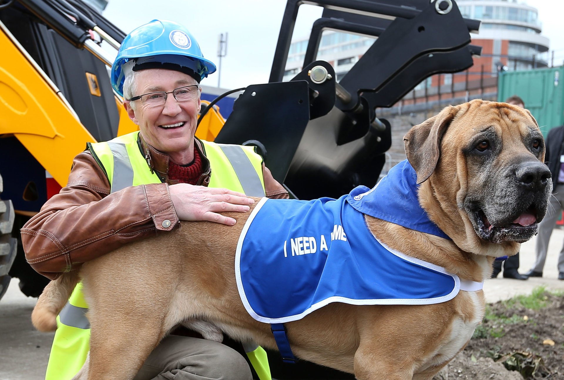 What happened to Paul O’Grady’s dog Buster and how many pups did he have?