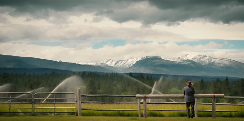 Yellowstone Season 5 Part 2: Release Window, Cast, Plot, Trailer And ...