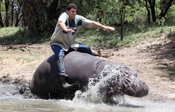 “He’s like a son to me”: Man mauled to death by pet hippo in South Africa