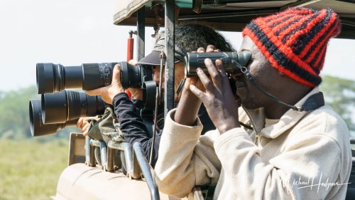 Photo Safari Tips: Make the most of your African photo safari