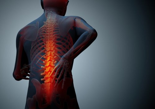 How to Recover from a Back Injury After a St. Louis Auto Accident