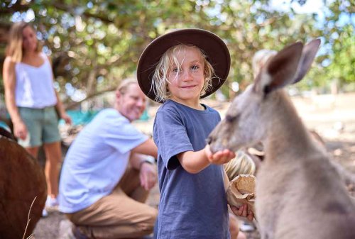 Save on multi-park fun in Tropical North Queensland - Holidays with Kids