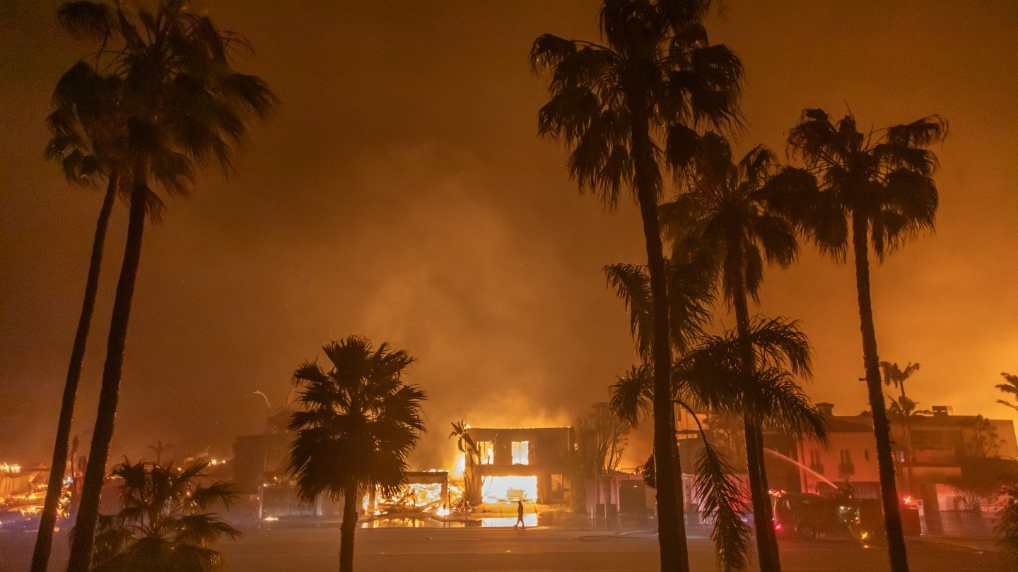 L.A. WILDFIRES JAN. 2025 cover image