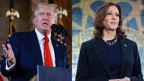 In Trump vs. Harris, it's reality-TV ringleading vs. the TikTok ticket