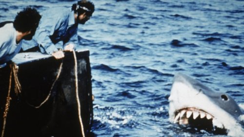 “You’re Gonna Need a Bigger Boat”: ‘Jaws’ Writer Reveals Origins of Movie’s Famous Line