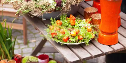 Scopri la Bellezza di 13 Fiori Autunnali per balconi e giardini – Home Lover