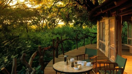 The 10 Most Amazing South Africa Safari Lodges Offering Thrilling Experiences
