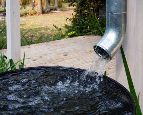 The 10 Best Rain Water Barrel in 2020 - Reviews and Buying Guide