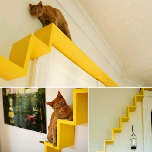 Take The Time To Build Cat Shelves: Fun For Both You And Your Pet