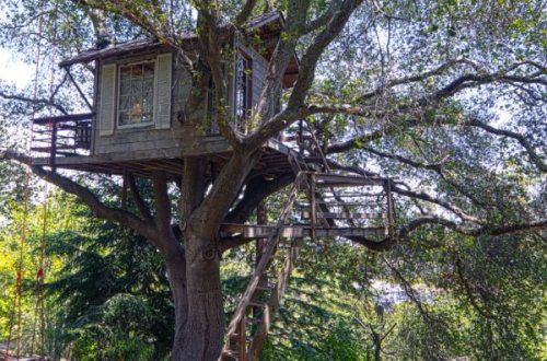 A modern tree house in a 100-year old oak, a perfect place to make new memories
