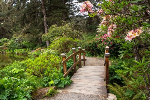 How To Create An Authentic Backyard Japanese Garden - Flipboard