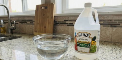 I Left a Bowl of Vinegar in My Kitchen Overnight, and I Wish I Had Tried This Years Ago
