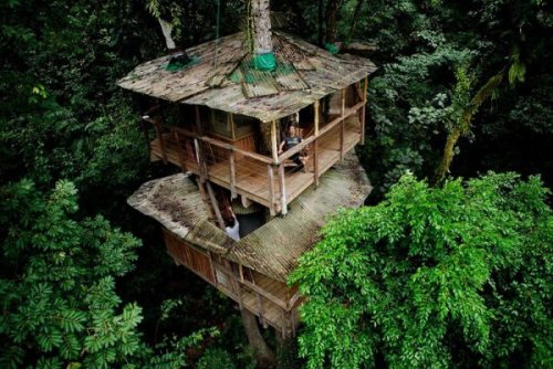 A stunning tree-house community built in Costa Rica
