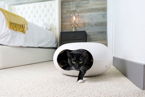 Modern Furniture For Cats And Dogs With Style And Panache