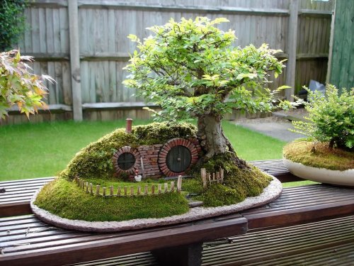 13 Tips to Create a Fairy Garden Your Kids Will Love