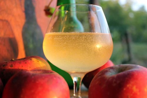 How to Make Hard Cider in 5 Easy Steps | Homestead Honey