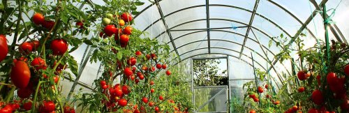 How To Build A Greenhouse | Homesteading Simple Self Sufficient Off-The-Grid | Homesteading.com