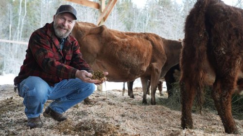 Deep Bedding Method for Livestock (Cleaner Barns & Healthier Animals)