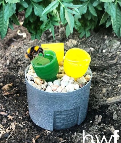 SPRING: Upcycled Garden 'Bee Cups'