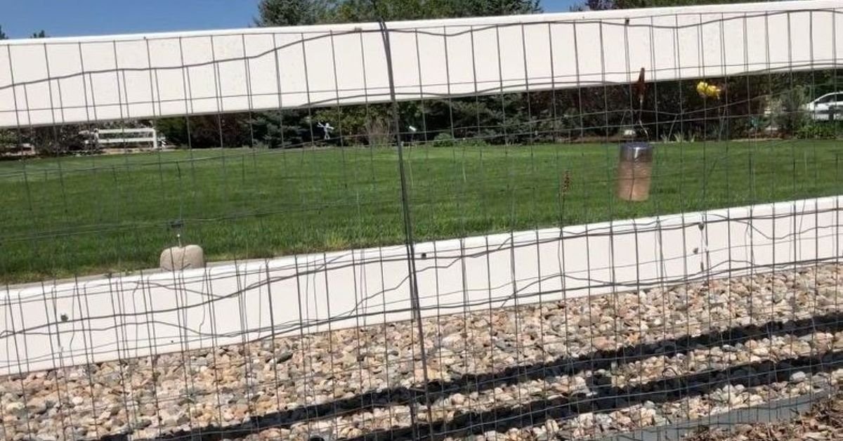 10 Gardening Hacks To Keep Pests Out Of Your Garden