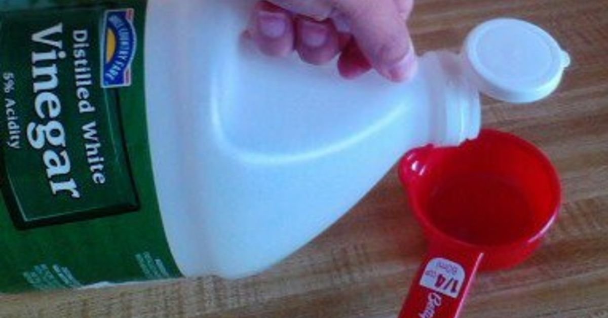 How to Clean and Disinfect a Microwave?