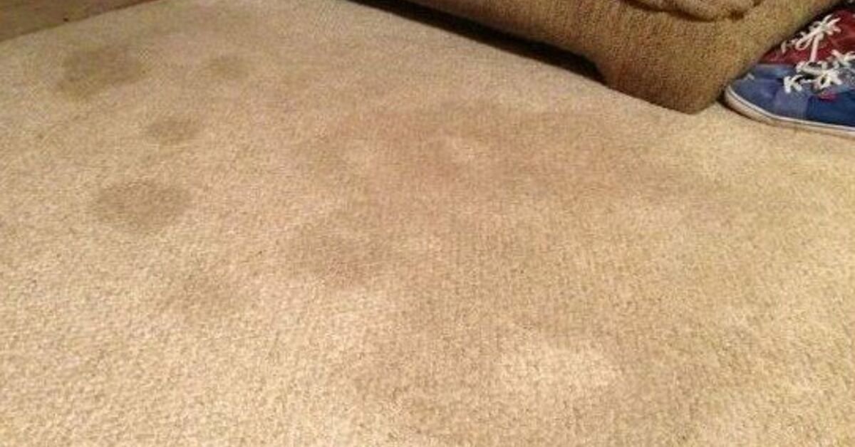How to Remove Difficult Stains From A Carpet DIY