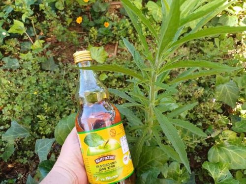 Your new garden best friend is something you probably already have