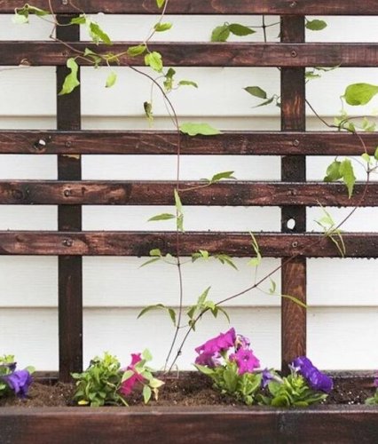 20 Easy Backyard Updates You Can Do in a Day