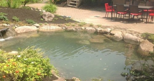 Amazing Backyard Pond Installation
