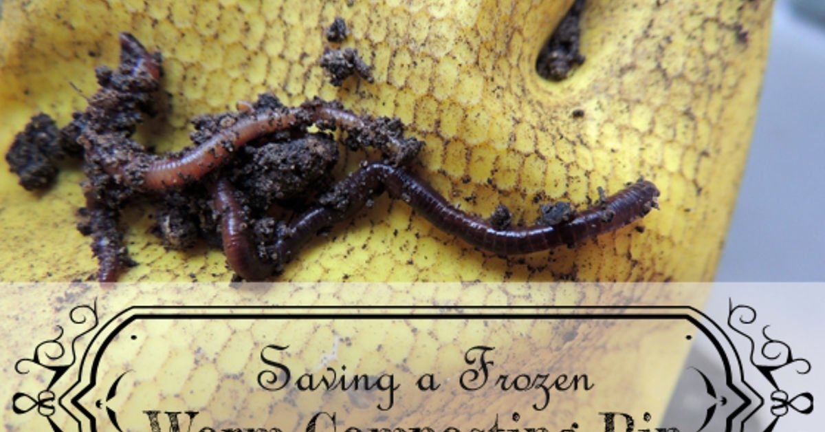 Tips for worm composting