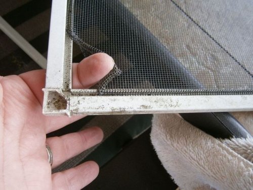 How to repair a ripped window screen the easy way