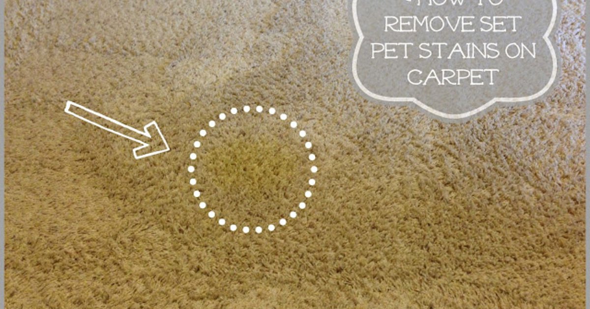 How to Remove Pet Stains From Carpet