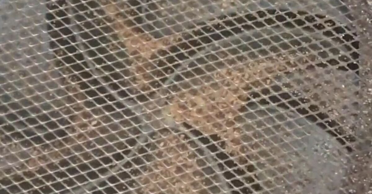 Easily deep clean your air fryer with these tips and tricks Flipboard