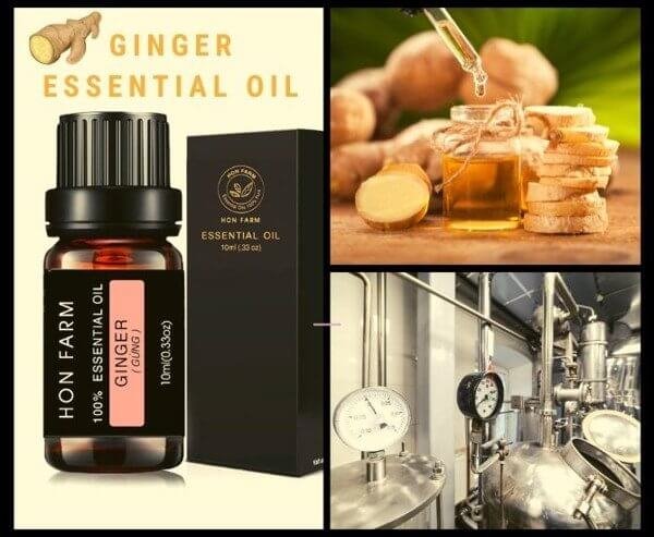 Tinh Dầu gừng