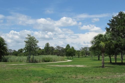 Discover Serenity at Stirling Park, Dunedin's Urban Getaway by the Pinellas Trail