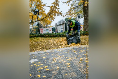 Hillsborough County Launches Cleanup Initiative in Progress Village to Tackle Illegal Dumping