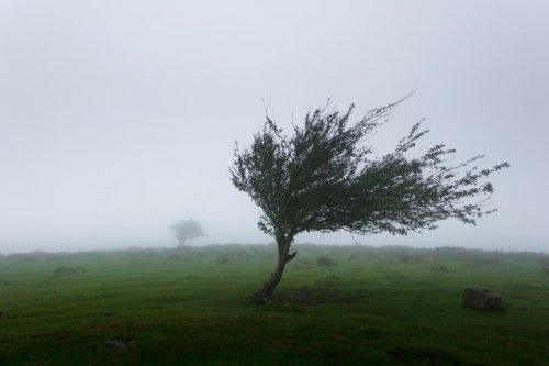 Oklahoma City Braces for Weather Whiplash with Gusty Winds Today and Potential Showers Midweek