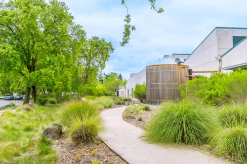 Discover Drought-Resistant Gardening at Sacramento's Native Plant Garden Tour on May 3