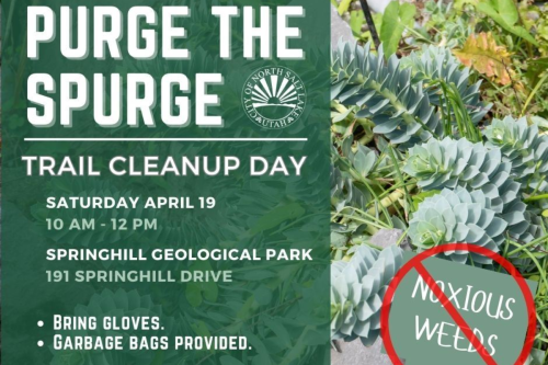 North Salt Lake Calls for Volunteers to Combat Invasive Spurge at Springhill Geological Park Cleanup