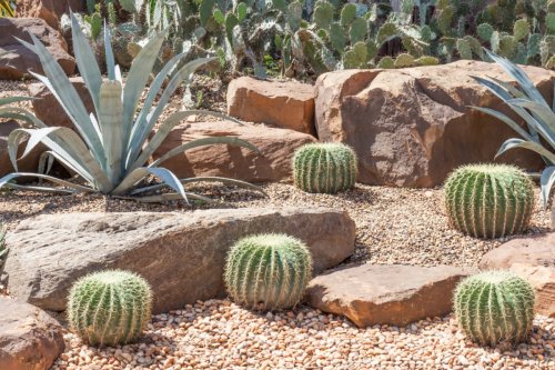Phoenix Water Services Department Fuels Environmental Projects with $5,000 Grants through Love Your Block Program