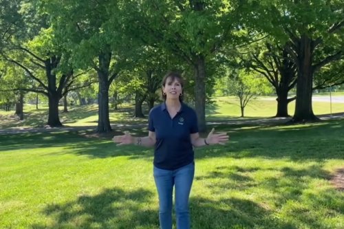 Raleigh Invites Residents to Celebrate Earth Day with Festivities and Urban Planning Talks at Dorothea Dix Park