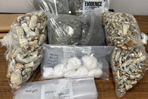 Indianapolis Police Seize Drugs and Firearms, Two Men Charged in Major Narcotics Bust