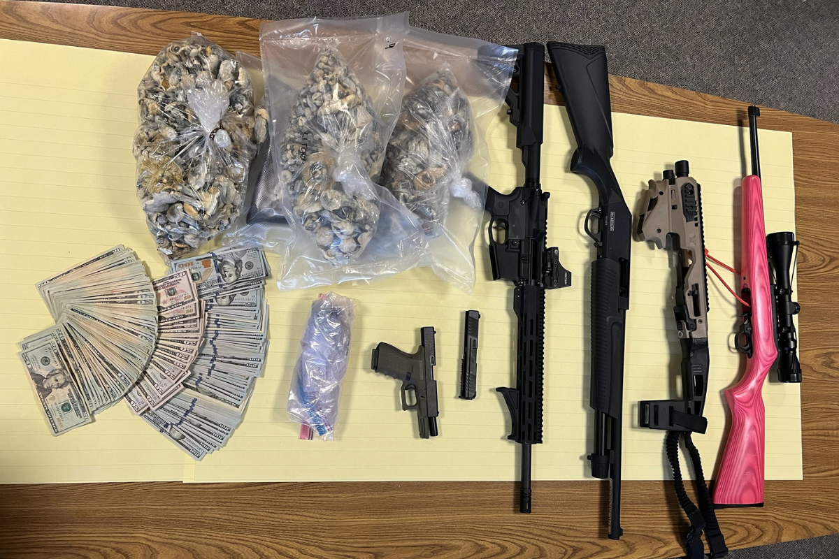 Santa Rosa Duo Arrested In Major Psychedelic Mushroom Bust, Firearms ...