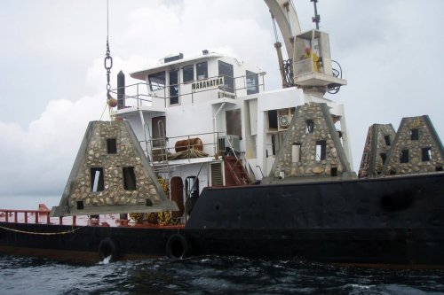 Hollywood Teams Up with Ocean Rescue Alliance for "Guardians of the Reef" Snorkel-Friendly Artificial Reef