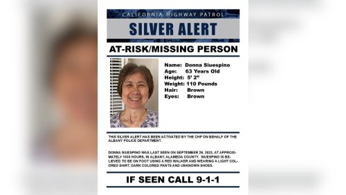 Silver Alert Issued for Missing 63-Year-Old Woman Last Seen in Albany