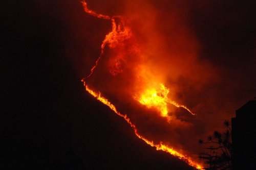 California Accelerates Wildfire Safety Projects with Streamlined Online Permitting Process
