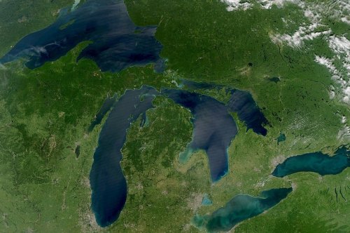 Trump Administration Commits Funding for Great Lakes Carp Barrier Following Standoff with Illinois Governor