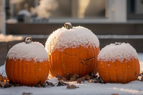 Upper Arlington Launches Annual Pumpkin Composting Initiative for a Greener Holiday Season
