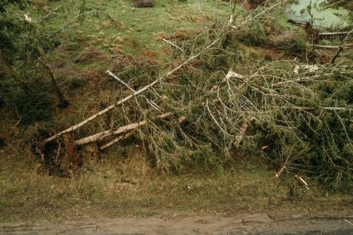 West Michigan's Recovery Underway, Kalamazoo and Allegan Counties Declare States of Emergency After Severe Storms